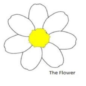 Meet your Posher, Daisy